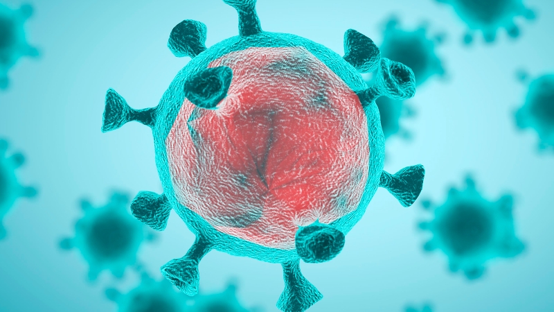 Atua&ccedil;&atilde;o da SBOC pelo acesso a imunoterapia &eacute; destaque em evento internacional