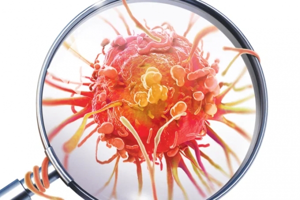 O que 2020 reserva para a &aacute;rea do c&acirc;ncer