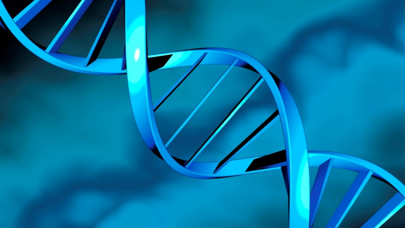 S&eacute;rie traz novidades sobre o c&acirc;ncer para o p&uacute;blico leigo